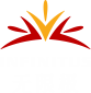無限極活動(dòng)